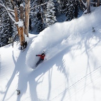 Elena Hight. Photo: MT Miller.