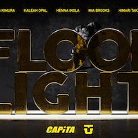 Capita Flood Light