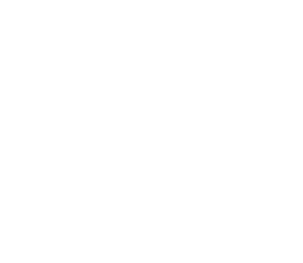 whitelines 100