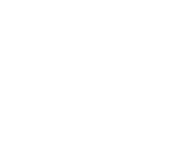 whitelines 100